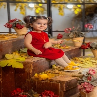 دختر پاییز،برگ ریزون آتلیه کودک مشهد شادینه | آتلیه مشهد،آتلیه کودک،آتلیه نوزاد،عکس بارداری